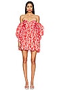 view 1 of 3 Lani Mini Dress in Red Ditsy Floral
