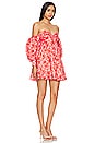 view 2 of 3 Lani Mini Dress in Red Ditsy Floral