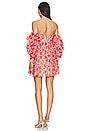 view 3 of 3 Lani Mini Dress in Red Ditsy Floral