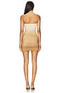 view 3 of 3 Rumi Mesh Dress in Brown Ombre
