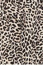 view 4 of 4 Lilah Corset Midi Dress in Brown Leopard