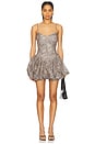 view 1 of 4 Lissett Printed Mini Dress in Brown Leopard