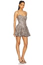 view 2 of 4 Lissett Printed Mini Dress in Brown Leopard