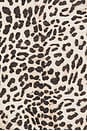 view 4 of 4 Lissett Printed Mini Dress in Brown Leopard