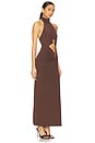 view 3 of 4 Neve Collar Maxi Dress in Chocolate