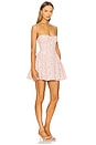view 2 of 4 Estie Embroidered Mini Dress in Red Floral
