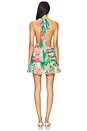 view 3 of 3 Mave Halter Neck Mini Dress in Pink Floral
