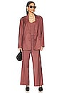 view 4 of 5 Pin Stripe High Waist Pant in Chestnut Stripe