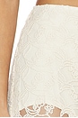 view 6 of 6 Venetia Sheer Skirt in Light Beige