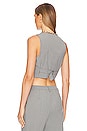 view 3 of 4 Callista Pin Stripe Vest in Grey Strpe