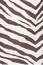 view 5 of 5 Helenia Longline Strapless Top in Brown Zebra
