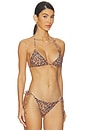 view 2 of 4 Blakely Triangle Bikini Top in Black Leopard