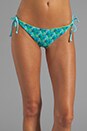 view 1 of 5 Raglan String Bikini Bottom en Palm Print/White/Sailing in Palm Print & White & Sailing