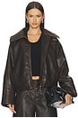 view 1 of 5 Baani Leather Jacket in Mole Brown