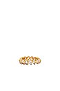 view 1 of 1 Amara Ring in Gold