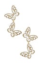 view 1 of 2 Paloma Earrings in Gold