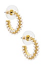 view 1 of 3 Nina Earrings in Gold