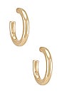 view 1 of 2 Chrissey Hoop Earrings in Gold