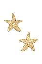 view 1 of 2 Sea Star Earrings in Gold