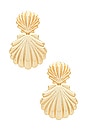 view 1 of 2 Two Drop Seashell Earrings in Gold