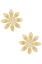 view 1 of 2 Shyla Earrings in Gold Large