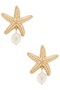 view 1 of 2 Mariam Shell Earrings in Gold