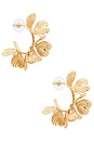 view 1 of 3 Fiorella Gold Floral Earrings in Gold