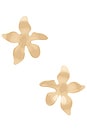 view 1 of 2 Nalani Gold Flower Earrings in Gold