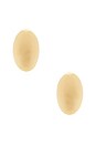 view 1 of 1 Oval Statement Stud Earrings in Gold
