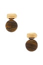 view 1 of 1 Nat Stud Earrings in Gold