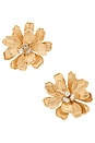 view 1 of 2 Floral Statement Earrings in Clear