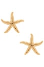 view 1 of 2 PENDIENTES VISTOSOS STARFISH in Gold