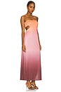 view 3 of 5 Mambo Dress in Cosmos