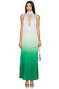 view 1 of 4 Magia Salvaje Dress in Algae
