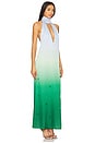 view 2 of 4 Magia Salvaje Dress in Algae