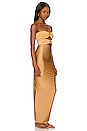 view 3 of 4 Isla Maxi Dress in Warm Desert Multi
