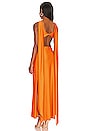 view 4 of 4 Ribera Maxi Dress in Amber