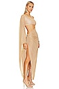 view 2 of 6 Nela Maxi Dress in Michelada