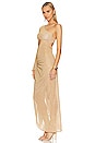 view 3 of 6 Nela Maxi Dress in Michelada