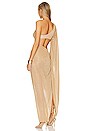 view 4 of 6 Nela Maxi Dress in Michelada