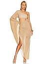 view 5 of 6 Nela Maxi Dress in Michelada