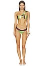 view 4 of 5 Zoe Bikini Bottom in Limonata