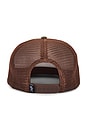 view 2 of 2 Desert Trucker Hat in Chipmunk