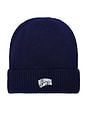 view 1 of 2 Arch Skully Beanie in Medieval Blue