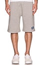 view 1 of 3 Small Arch Logo Sweatshort in Heather Grey