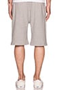 view 3 of 3 Small Arch Logo Sweatshort in Heather Grey
