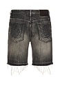 view 2 of 5 Cadet Crater Black Jean Shorts in Crater Black