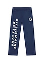 view 1 of 7 Helmet Sweatpants in Navy Peony