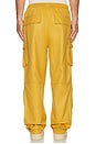 view 4 of 7 Hemisphere Cargo Pants in Honey Mustard