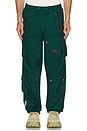 view 1 of 7 Hemisphere Cargo Pants in Rain Forest